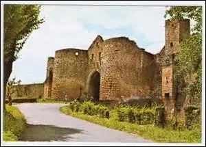 Des villes neuves furent toutes fondées entre le 13e siècle et la fin du 14e siècle, en peu de temps, et pour chacune sur la volonté d'un personnage important.
Quel nom portaient-elles ?