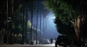 Le film de David Lynch, devenu culte, porte le nom de l'une des routes escarpées de cette ville immense de Californie, Mullholland Drive. Quelle est cette ville  ?