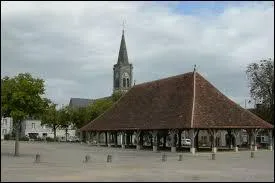 Nous sommes à Pleumartin, commune Viennoise située en région ...