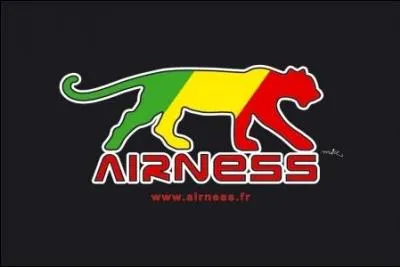 J'équipe l'AJ Auxerre et le Mali notamment. Quel sponsor suis-je ?