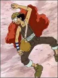Qui tira sur Usopp ?