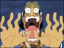 Que décida Usopp à la fin de l'épisode 11 ?