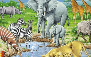Quiz Savane