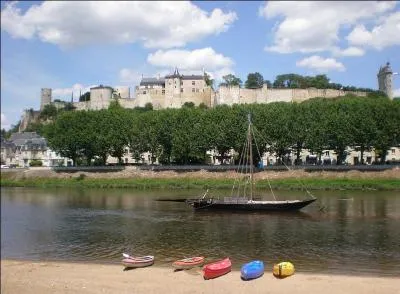 Cette ville, sous-préfecture d'Indre et Loire, a été le lieu de tournage d'un film qui a cartonné au box office. Il s'agit de "Qu'est-ce qu'on a fait au bon dieu ?" de Philippe de Chauvron (2014). Quelle est donc cette ville surnommée "la fleur du jardin de la France" ?