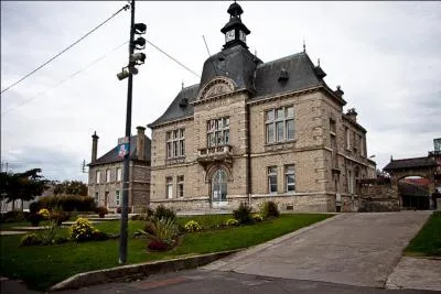 C'est dans une cité ferroviaire d'Indre-et-Loire qu'Éric Zonca, réalisateur orléanais, décida de tourner quelques scènes de son film "La vie rêvée des anges" (1998) qui obtint le César du meilleur film. Quelle est cette ville ?