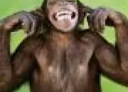 Quiz Top 10 (4) : Les animaux les plus rares
