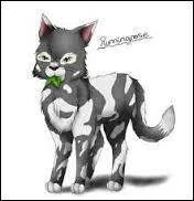 Parmi ces chats, lequel est un guérisseur ?