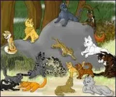 Combien de guérisseuses du Clan du Tonnerre sont tombées amoureuses malgré les règles ?