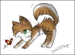 Quelle guérisseuse, malgré son rôle, ne croit pas au Clan des Étoiles ?