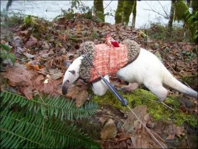 Trouvez la bonne fable !