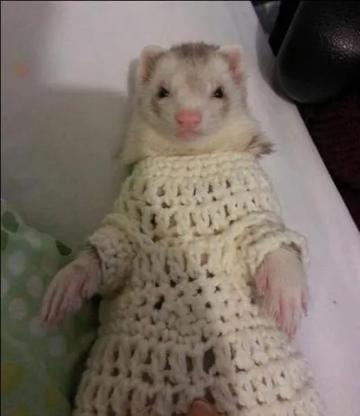 Quel verbe allez-vous choisir !