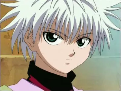 Dans "Hunter x Hunter", combien Kirua a-t-il de frères et surs ?
