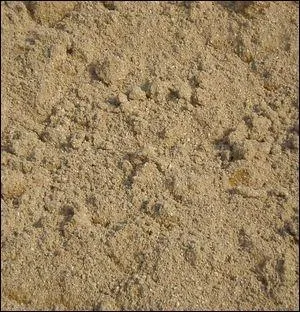 Quel animal est caché dans cette image ?