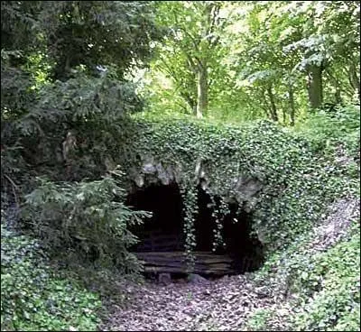 Quel animal est caché dans cette image ?