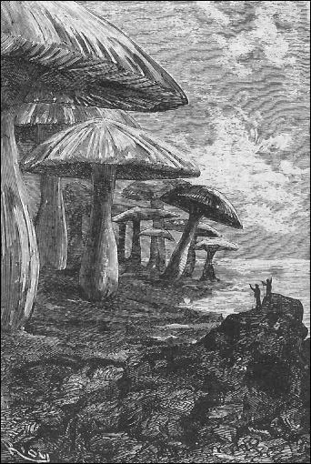 De quel roman est tire cette illustration ?