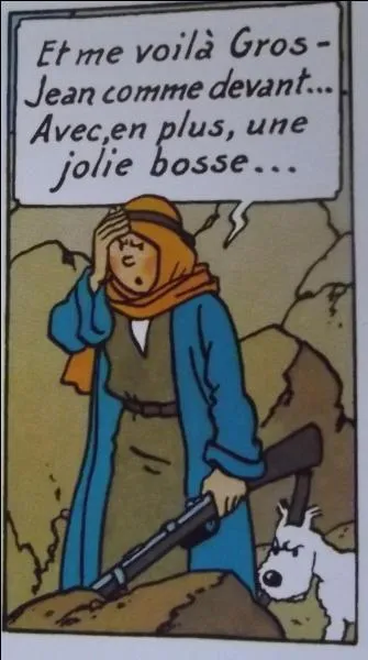 Vous aviez espéré être vainqueur à ce quiz, mais voilà vos espoirs déçus, vous êtes "Gros-Jean comme devant", comme aurait dit ...