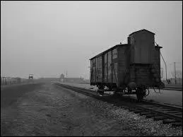 "Ils se croyaient des hommes, n'étaient plus que des nombres, depuis longtemps leurs dés avaient été jetés, dès que la main retombe, il ne reste qu'une ombre..." vous rappelle :