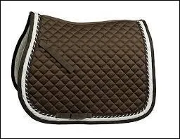 Quel est ce matériel d'équitation ?