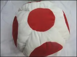 Qui a oublié son chapeau-champignon ?