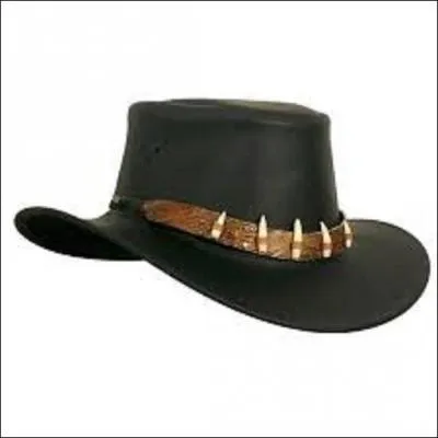 Qui ne se sépare jamais de son chapeau "dentelé" ?