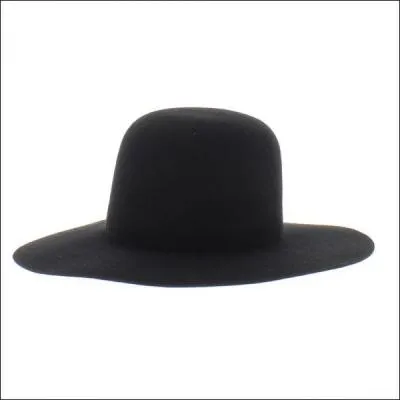 Un petit dernier pour vous départager... Regardez bien la forme du chapeau !