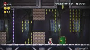 Et à quoi ces passages secrets nous mènent-ils ?