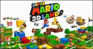 Mario 3D Land. Que peut-il y avoir dans les niveaux ?