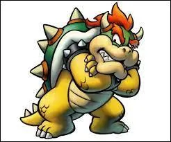 Mario 3D Land. Lorsque nous débloquons les mondes spéciaux, qui est capturé par Bowser ?