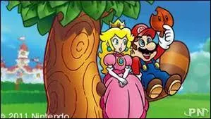Mario 3D Land. Qu'est-ce que Peach nous envoie à la fin de chaque monde spécial ?