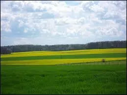 Je me trouve en région Rhône-Alpes. Je suis "Ar____".