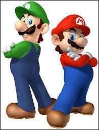 Mario et Luigi sont :