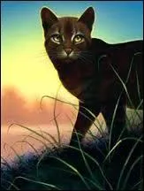 Quel chef enlevait des chatons des autres clans pour les forcer à devenir guerriers ?