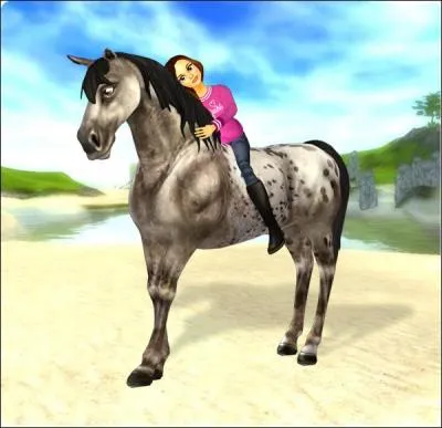 Quel est le nom du jeu de cheval ?