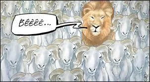 Chassez l'intrus ......