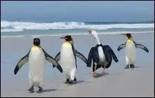 Chassez l'intrus ......