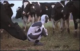 Chassez l'intrus ......