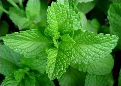 Elle était maquillée - Comme une star de ciné !