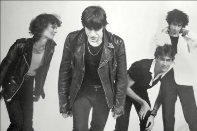 Que dire de ce groupe célèbre dont fit partie Jean-Louis Aubert ?