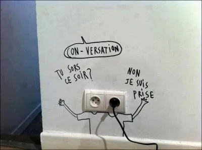 Parmi les fils électriques de quelle couleur est celui par lequel le courant arrive ?