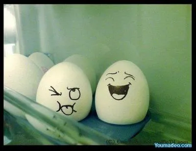 Quel fil allez-vous utiliser si vous avez mangé des oeufs à la florentine ?