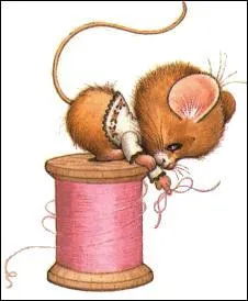 Si vous allez chez un chirurgien esthétique pour qu'il camoufle vos rides, quel fils va-t-il utiliser pour que vous soyez fière de votre bobine ?