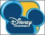Disney Channel a été créé en :