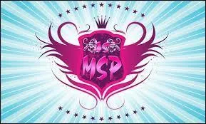 Observe bien l'image. C'est le logo de msp ?