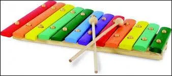 Quel est cet instrument ?