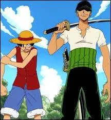 Que font Luffy et Zoro après avoir trouver la bonne direction ?