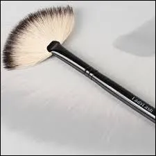 Quel est le nom de ce pinceau en éventail ?