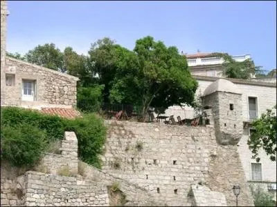 L'&eacute;chauguette, vestige des remparts, &eacute;difi&eacute;e au XVIe si&egrave;cle pour guetter les envahisseurs venus de la mer, est le symbole de cette ville de Corse-du-Sud.