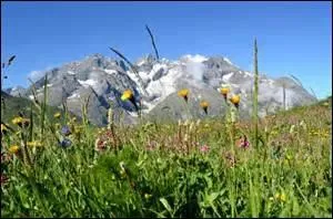 Que commet-on dans « le massif des Écrins » ?