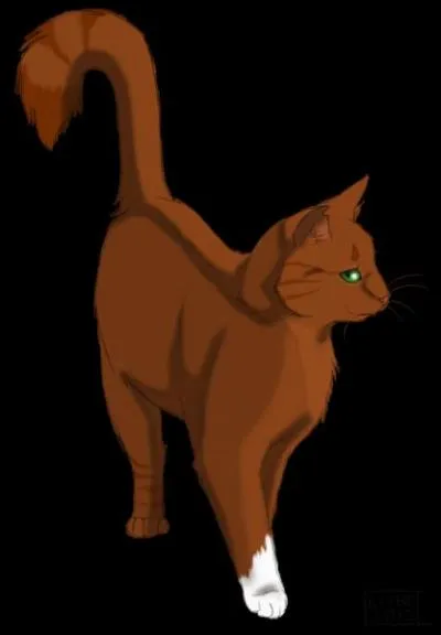 Qui est son mentor ?