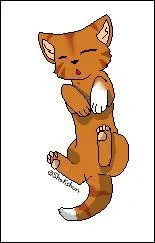 Quel est son nom de chaton ?